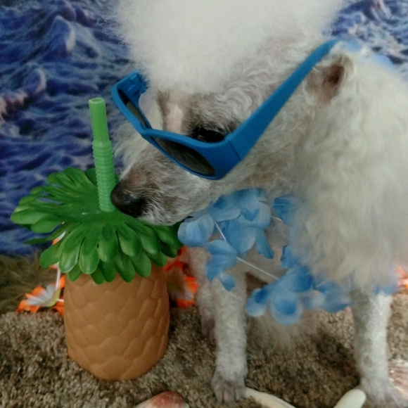 Make an offer on any item!😊 - Picture 2 of 5